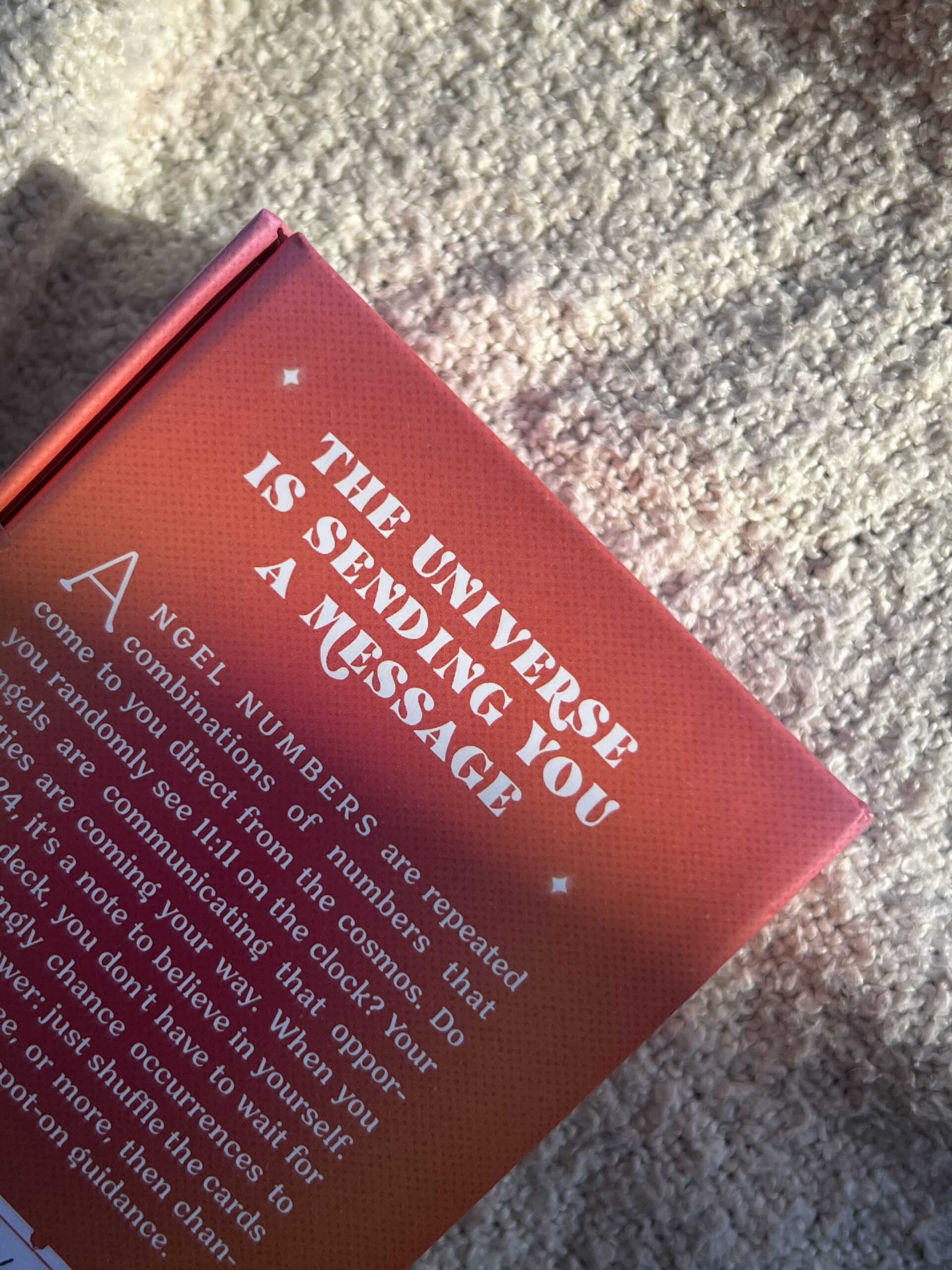 The Angel Number - Image 2