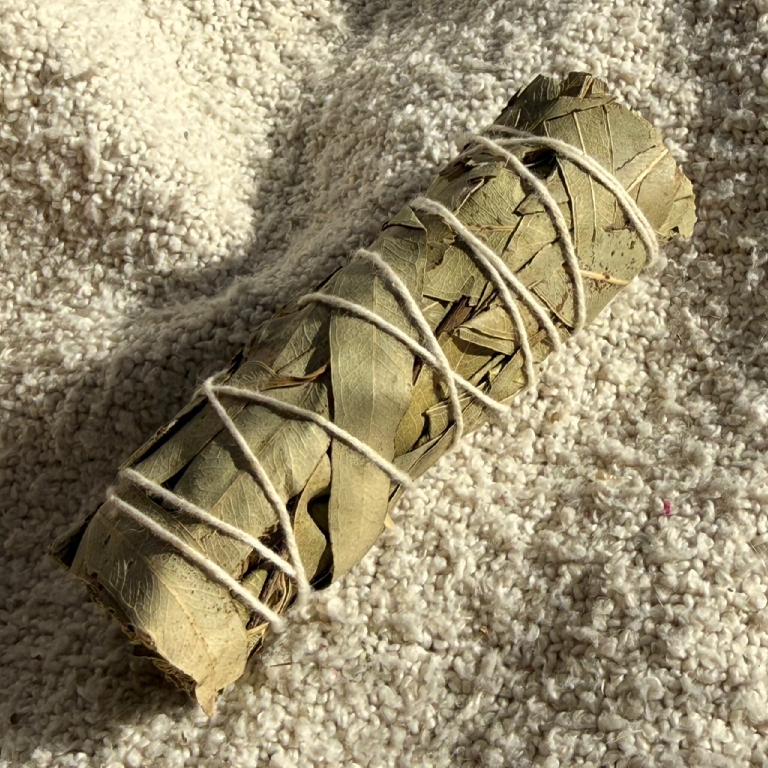Eucalyptus Sage Smudge Stick 4"